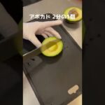 アボサーモンユッケ丼作ってもろた #Shorts #レシピ #サーモン