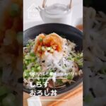 【薬味たっぷり】しらすおろし丼【のっけごはん】#Shorts