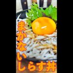 まかない しらす丼　#Shorts　#まかない　#しらす　#しらす丼　#夏　#簡単　#料理　#レシピ