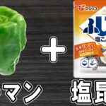 【お弁当おかず】ピーマンと塩昆布のごま油炒めの作り方！冷めても美味しい簡単おかずレシピ！冷蔵庫にあるもので節約料理/旦那弁当/ピーマンレシピ/作り置きレシピ/bento【あさごはんチャンネル】