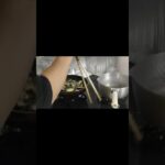 夏を乗り越えろ？野菜ぶちまけバター炒め#short ＃クッキング