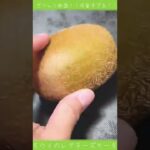 🥝ぎっしり!!可愛すぎる！キウイのレアチーズケーキ！#スイーツ#ケーキ#料理 #チーズケーキ#レアチーズケーキ#タルト #sweets #cake #TikTok#short#shorts #レシピ