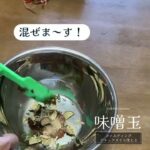 デトックスに！自然栽培の乾燥野菜と新鮮な乾燥野菜で美味しくデトックスしましょう！何を食べるか？より何を食べないか！ここのポイント大切です！