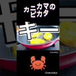 🦀カニカマだって🍳メインになるさー🔥夏なのでカレーピカタで😋カレー風味は美味しい❣️