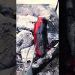 夏野菜を炭火に放り込んで貪るだけの動画