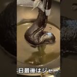 【韓国料理レシピ】ジャジャン麺🍝