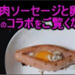 魚肉ソーセージと卵は、お弁当のおかずやつまみになる子供に人気のレシピ♪
