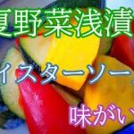 これお薦め♥夏野菜浅漬け　オイスターソース味　切って突っ込むしまうで完成