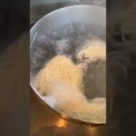 手作り盛岡冷麺！ぴょんぴょん舎！#アル中カラカラ #冷麺 #夫婦