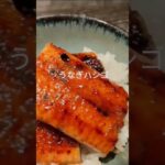 京都×うなぎ　絶品熟成うなぎの丼ぶり　@祇園きだ