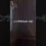 罪悪感ゼロスイーツ❤️オートミール蒸しパンの作り方