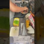 【毎日弁当】今日のお弁当はシャケ弁🍱 #お弁当作り #お弁当 #子どものいる暮らし #旦那弁当 #シャケ弁