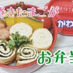 【高校生のお弁当作り】セリア購入品のお弁当箱とたまごが可愛い簡単お弁当