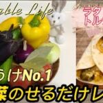 【家族が喜ぶ！今食べたい夏野菜レシピ】【ラタトゥイユ　からの　トルティーヤ！ピザ！のせるだけ簡単アレンジレシピ！】