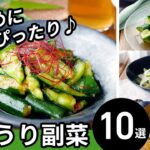 【きゅうり副菜レシピ10選】夏にピッタリ!簡単副菜レシピ♪|macaroni(マカロニ)
