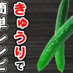 きゅうりで簡単料理レシピ4選！冷めても美味しい簡単おかず！冷蔵庫にあるもので節約料理/簡単料理/きゅうりレシピ/作り置きレシピ【あさごはんチャンネル】