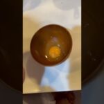 【5分で作れる】野菜不足にもう一品みょうたま炒め作るで⭐️#shorts #ご飯 #簡単 #おつまみ #豆苗 #たまご