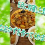 収穫した野菜で色んなレシピ　第１２回SORA YOUTUBE