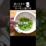 サーモンって何でこんなに旨いんじゃ〜沼確定!「サーモン漬け丼」#shorts #おうちごはん #丼