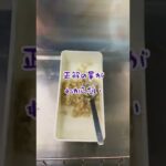 【#shorts 】お弁当生活🍱51日目【#料理 #お弁当 #タイムラプス 】