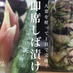 夏野菜たっぷりの作り置き！即席しば漬け #shorts