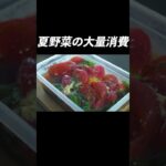 【揚げて漬けるだけ】無限に食べれる『やみつき夏野菜バジル』#shorts