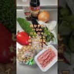 休日の #お手軽おつまみ 🍻<野菜たっぷりガパオ>👩🍳 #shorts #easyrecipe