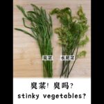 stinky vegetables and fern  臭菜 水蕨菜 云南特色野菜 中国美食 #shorts