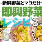 【即興サラダレシピ】無農薬野菜の定期便「プロラボファーム」の野菜を使って3品クッキング!