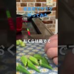 【簡単レシピ】家庭菜園の野菜、大量消費したよ　ナムル風に#簡単レシピ #自炊レシピ #料理初心者 #時短レシピ #ずぼら飯 #サラダレシピ #塩昆布