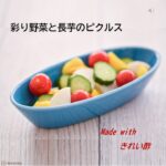 彩り野菜と長芋のピクルス　～きれい酢～