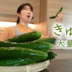 《きゅうり大量消費》メインおかず、おつまみに使える３品のきゅうりレシピ。