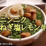 【すき家】新商品「ニンニクねぎ塩レモン牛丼」レビュー！（感想）