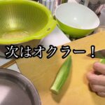 野菜の収穫からの「簡単レシピ」♡よっこりんのお母さん登場！