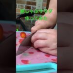 【簡単レシピ】沸騰したお湯に豚肉を入れ、火をとめる。火が通ってるか確認してね。柔らかくできます。#簡単レシピ #自炊レシピ #料理初心者 #豚しゃぶ#豚しゃぶサラダ