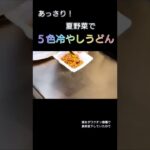 あっさり夏野菜で五色冷やしうどん！コロナワクチン接種後の食欲低下に