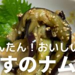 なすのナムルの作り方・レシピ 火を使わないからかんたん!おいしい!常備菜・副菜・おつまみに最適