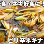 ナス好き・ネギ好きさんに！副菜やおつまみにおすすめ。ピリ辛ネギナス漬けの作り方【レンジで時短・おつまみレシピ】