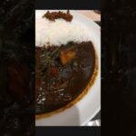 松屋@金沢八景にて、彩り野菜のカシミールカレーを食べてみた