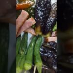 最強!「夏野菜の素揚げ」夏は衣はいらない、サッパリと生姜醤油でいただきます。#気楽にクック #簡単レシピ #夏野菜レシピ #素揚げ