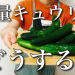 【簡単レシピ】大量にきゅうり貰ったので、ひたすら消費していく‼︎/簡単でおいしい副菜レシピ