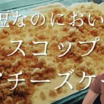 【レアチーズケーキ】ゼラチン不要ふわふわ仕上げ！混ぜるだけ簡単レシピ♡