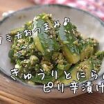 【おつまみ・副菜】洗い物が少ない！スタミナがつくきゅうりとにらのピリ辛漬けの作り方