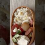 曲げわっぱ弁当/盛り付け/蓋は閉まるのか？？/お弁当