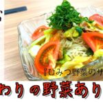 【素麺レシピ】農家直送野菜で激うま簡単素麺作った