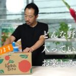 何が入ってるかお楽しみ♪夏野菜で即興レシピ/※案件ではありません😓【 料理レシピ 】