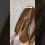 曲げわっぱ弁当/盛り付け/ランチ/ドライカレーぱっかーん