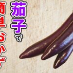 なすびレシピ4選！誰でも作れる簡単料理！冷蔵庫にあるもので節約おかず/簡単料理/なすレシピ/作り置きレシピ【あさごはんチャンネル】