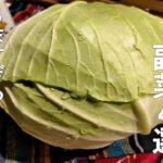 【キャベツレシピ】混ぜて○○するだけ！超簡単でうますぎる副菜4選　キャベツ１玉大量消費レシピ