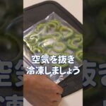 【野菜を新鮮に保つ冷凍保存方法5選】キャベツ・玉ねぎ・さつまいも・ゴーヤ・ごぼう【アクア冷蔵庫】ほしみみ #shorts